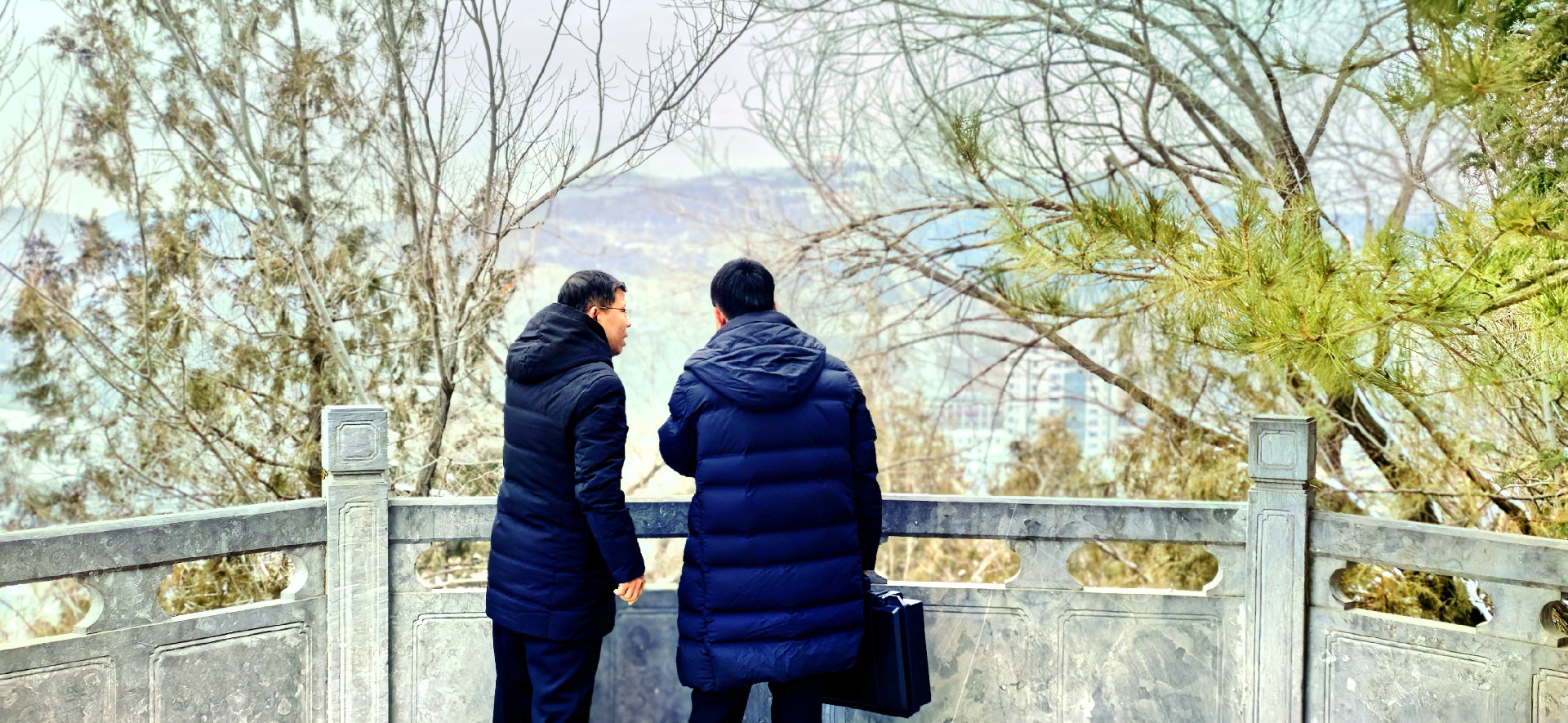 微信图片_20260106113007_204_12.jpg