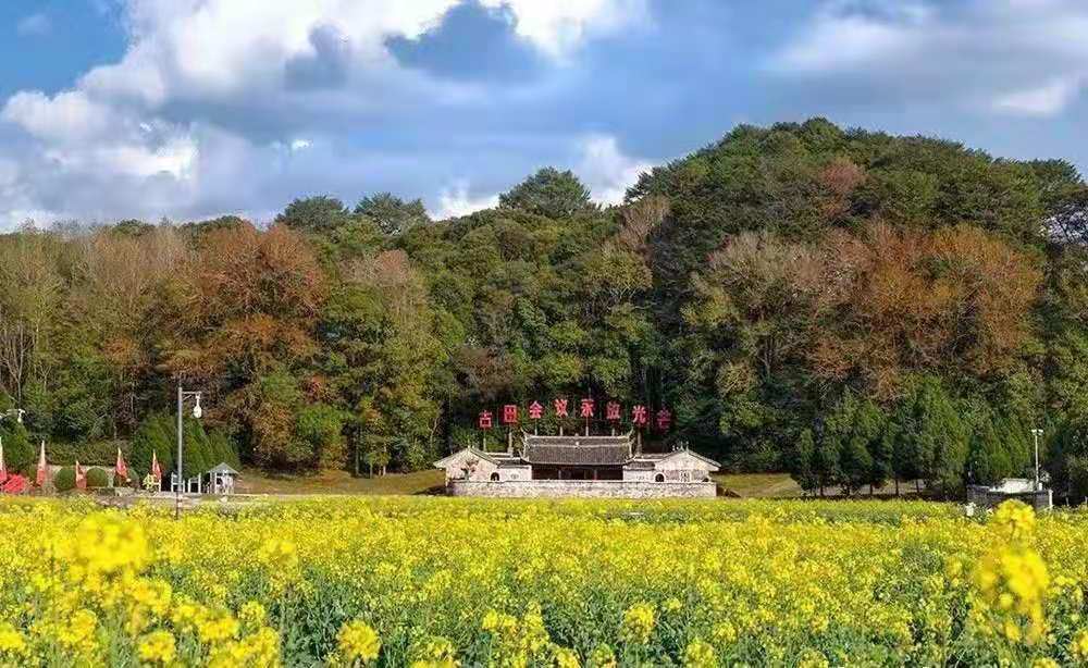 古田七天教学培训方案